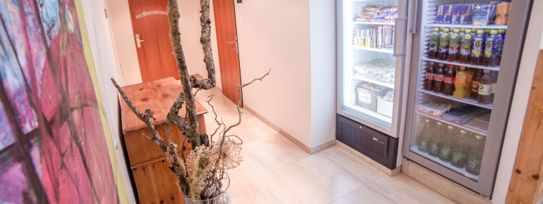 Getränke - und Eiskühlschrank