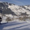 Ein Blick aus dem Fenster