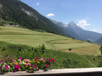 ein feiner Sommertag in Pettneu