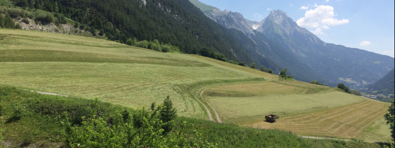 ein feiner Sommertag in Pettneu