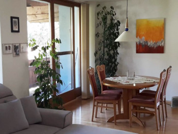 Familie Oppeneiger, Appartement Eben im Pongau, Ski amadé, Salzburger Sportwelt, Urlaub, Unterkunft