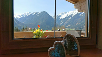 Bergblick