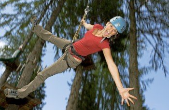 Flying Fox Meile