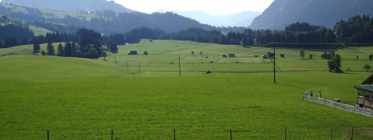 Aussicht Ferienwohnung 2 ohne Balkon