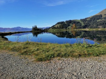Brandlalmsee