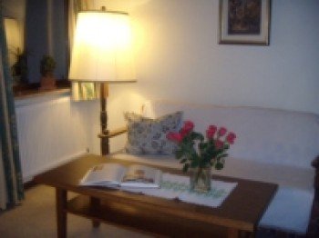 Wohnzimmer Top 2