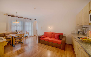 Ferienwohnung im Ahrntal //Löfflerblick -Apartments & Wellness