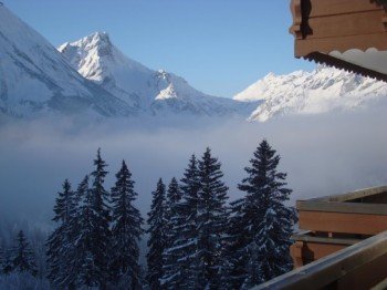 Ausblick