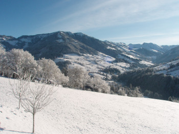 Unser Ausblick 2