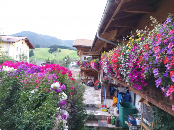 Blumenschmuck BADHAUS