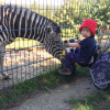 Tierpark Altenfelden