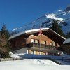 Chalet Bergblume im Winter