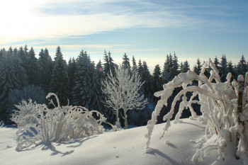 Winterlandschaft