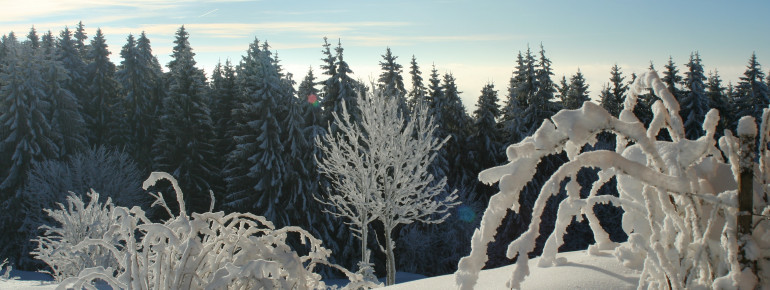 Winterlandschaft