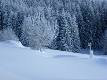 Winterlandschaft