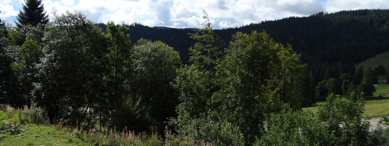 Aussicht