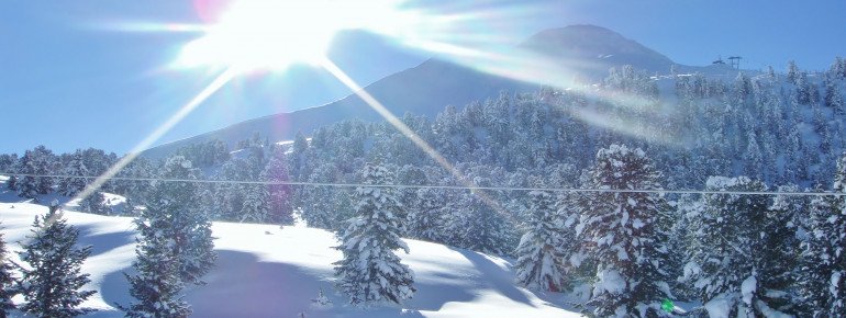 Magic Winter