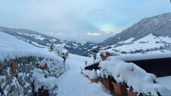 Früh morgens vor dem Bergwald