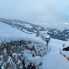 Früh morgens vor dem Bergwald