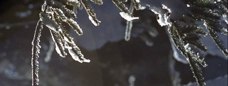 Winterwandern