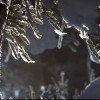 Winterwandern