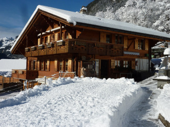 Bachsbort im Winter