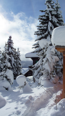Weg zum Chalet
