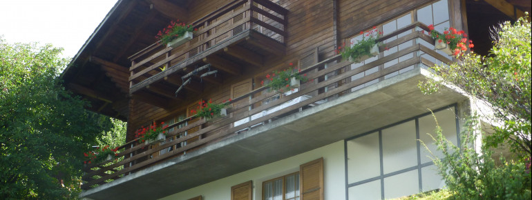 Chalet Spicher