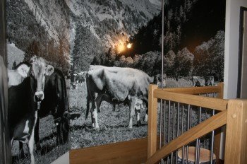 Allgäuer Kühe im Treppenhaus