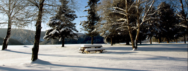 Winter in Züschen