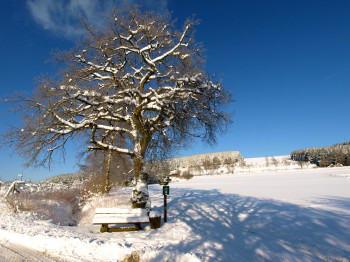 Winter in Züschen