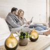 Zedernlounge