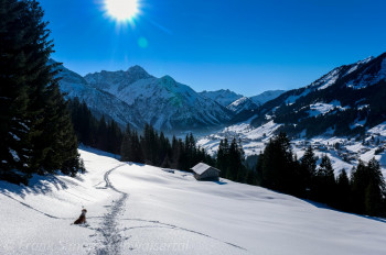 Winterwunderland