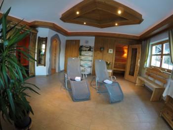 Wellness
