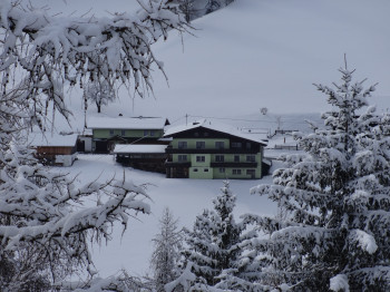 Winter am Entingerhof