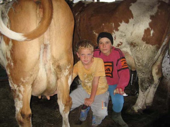 Urlaub auf dem Bauernhof