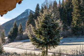 Aublick hinter dem Haus auf den Lackenkogel