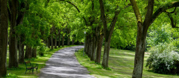 Kurpark Bad Gleichenberg