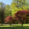 Kurpark Bad Gleichenberg