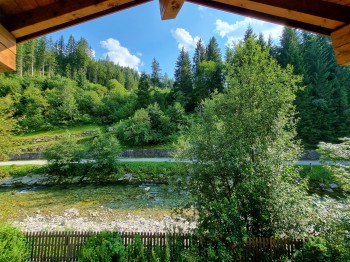 Blick ins Grüne vom Balkon aus