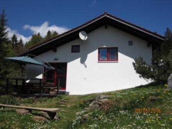 Feriemhaus im Sommer