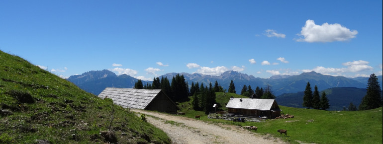 Wandern