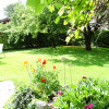 Unser Garten