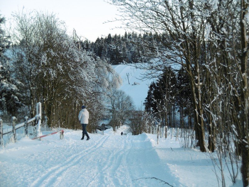 Genießen Sie die Winterlandschaft bei ausgedehnten Wanderungen auf dem Winterwanderwegen oder auch im gut gespurten Loipennetz