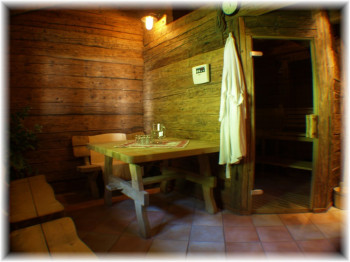 ALM-Sauna