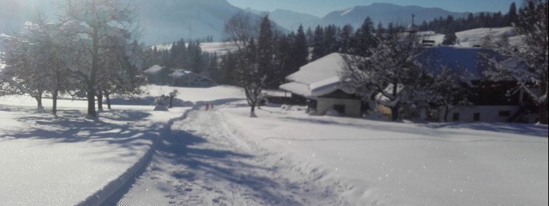 Rodel und Ski-Übungsbahn
