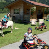 Go-karts & Ponys & Fahrräder