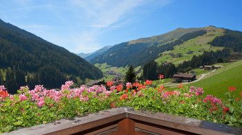 Ausblick
