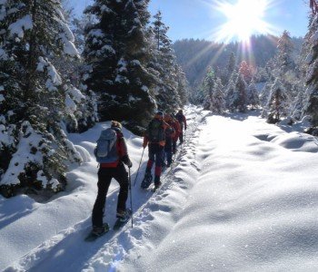 Schneeschuhwandern - ein besonderer Genuß!