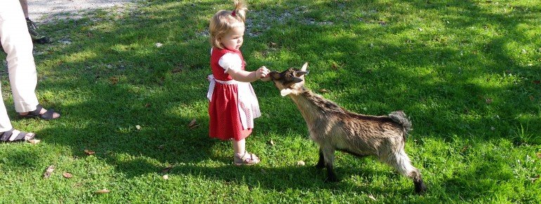 Tiere zum Anfassen!